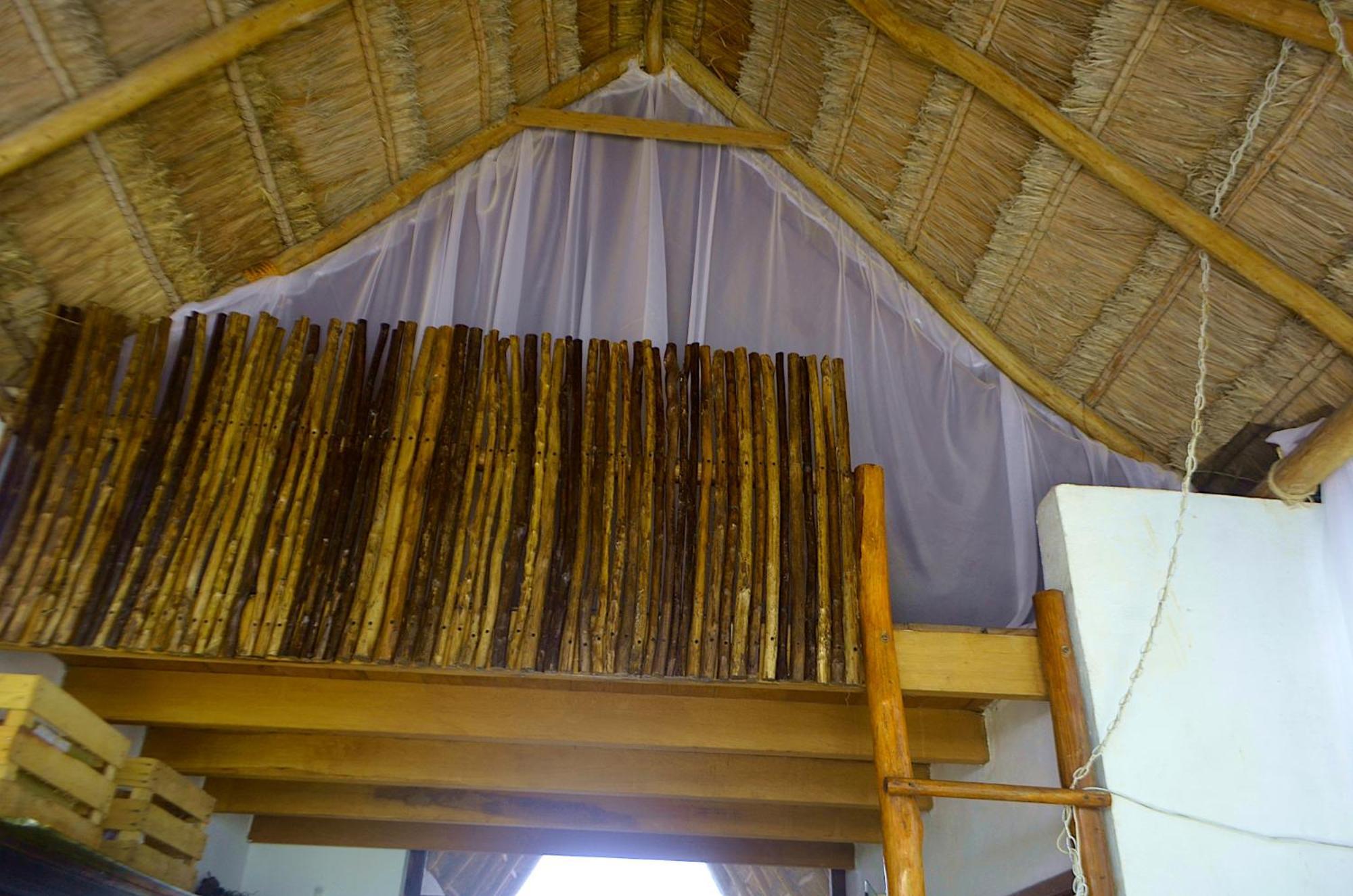Habitación en casa particular Wholeness Earthing Clubhouse Playa del Carmen