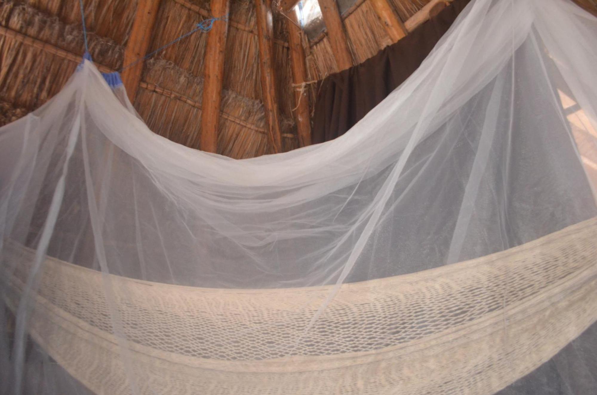 Habitación en casa particular Wholeness Earthing Clubhouse