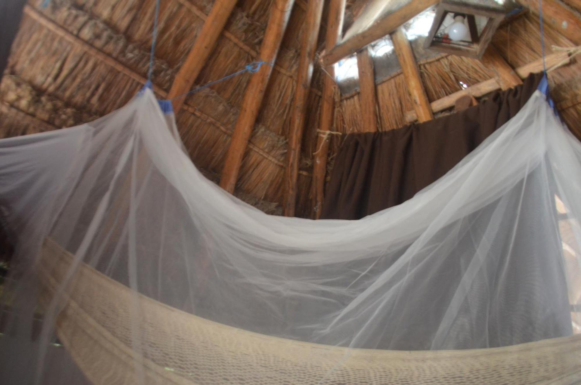 Habitación en casa particular Wholeness Earthing Clubhouse Playa del Carmen